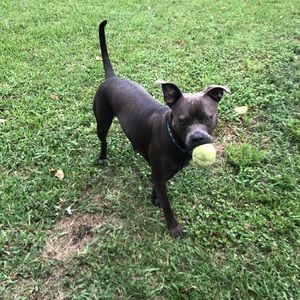 Meet your Posher, Chad